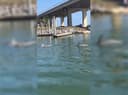 Gulf Island Charters – Family/Kids B-2