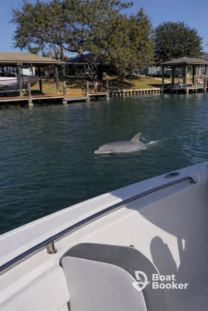 Charter Image
