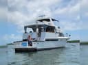 License to Chill Yacht Charters
