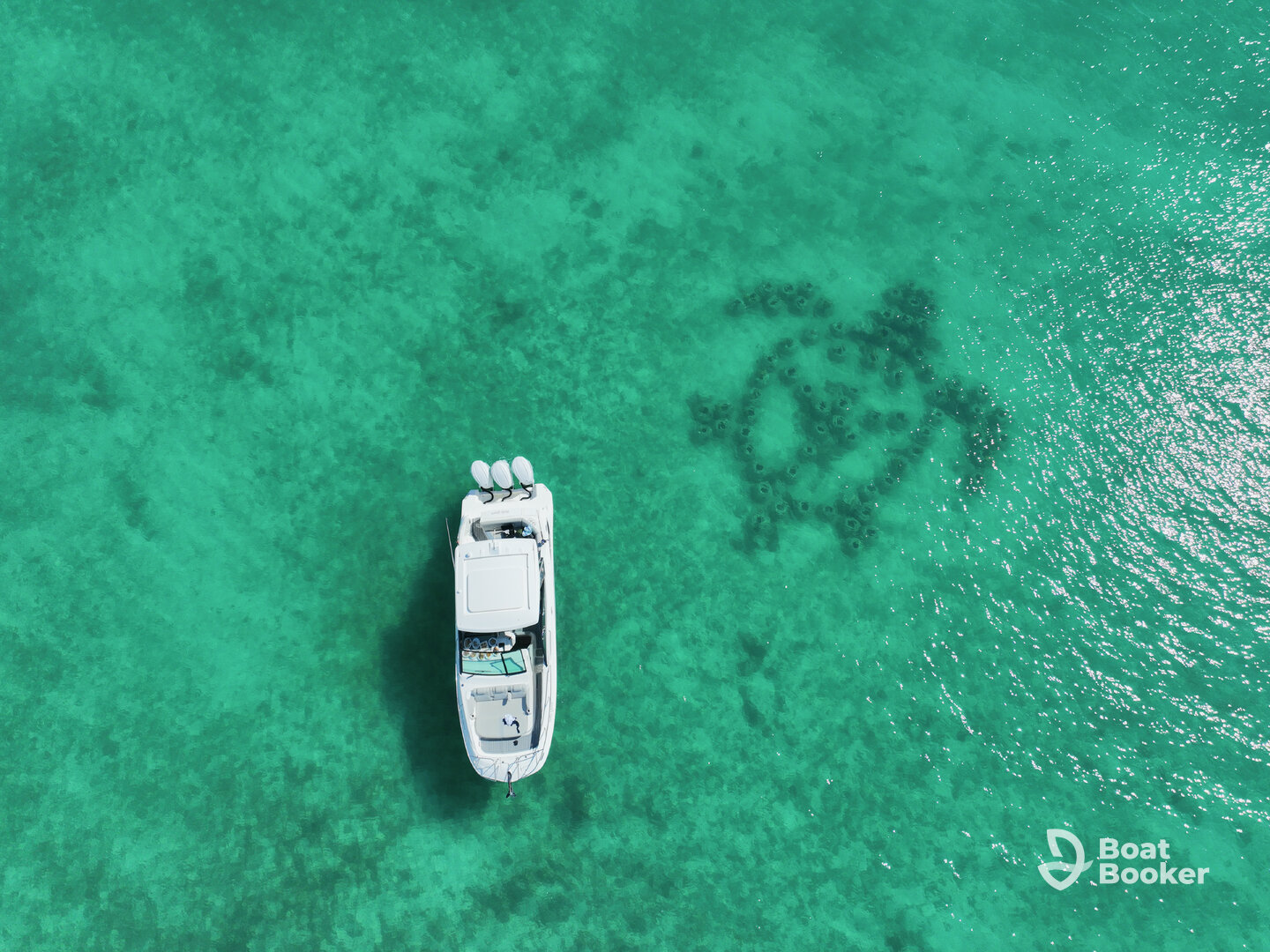 Charter Image