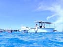 Palm Beach Boat Tours – Female Captain!