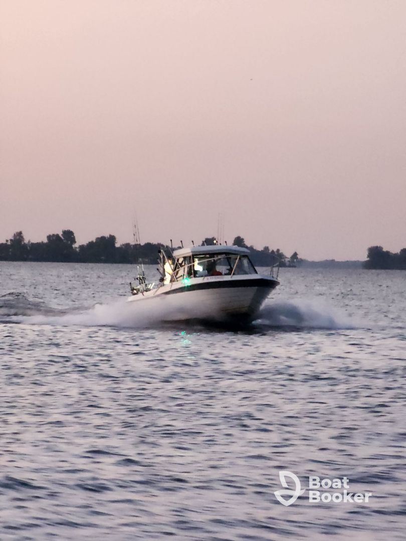 Charter Image
