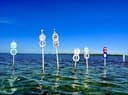Sun King Charters