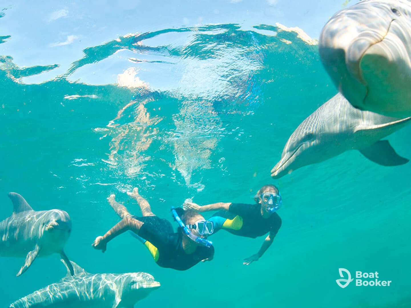 Two children swim with playful dolphins in crystal-clear waters, creating a memorable wildlife encounter perfect for adventure seekers.