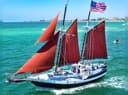 Sail the Suncoast Horizon!
