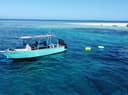 Salty Dog Adventures Fiji