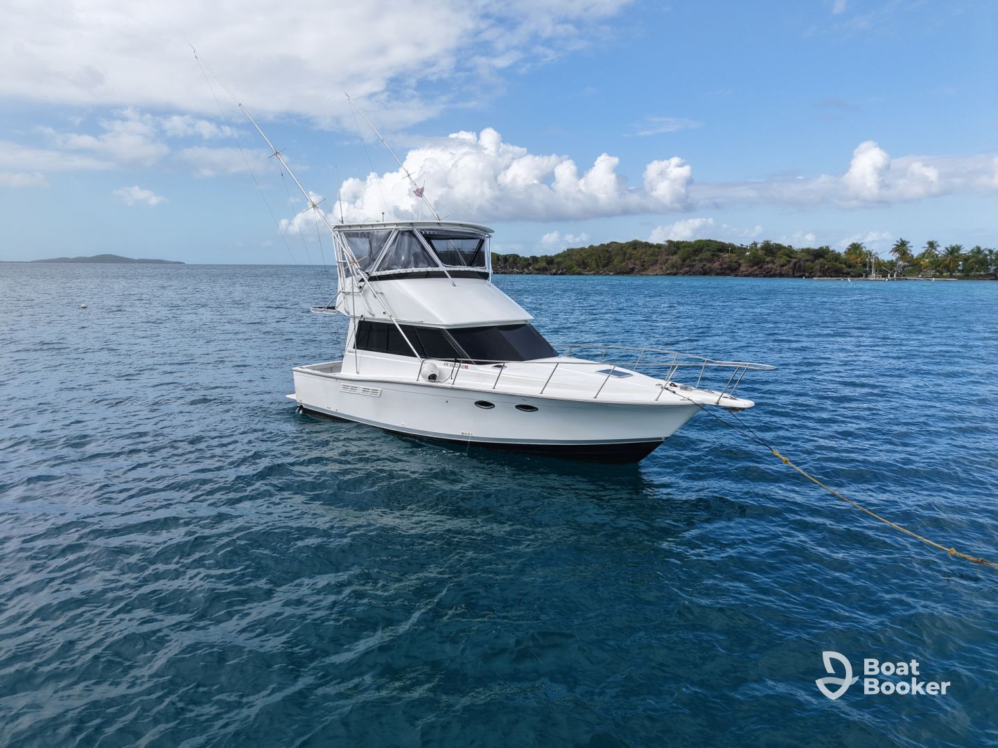 Charter Image