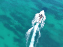 Tridente Boat Trips