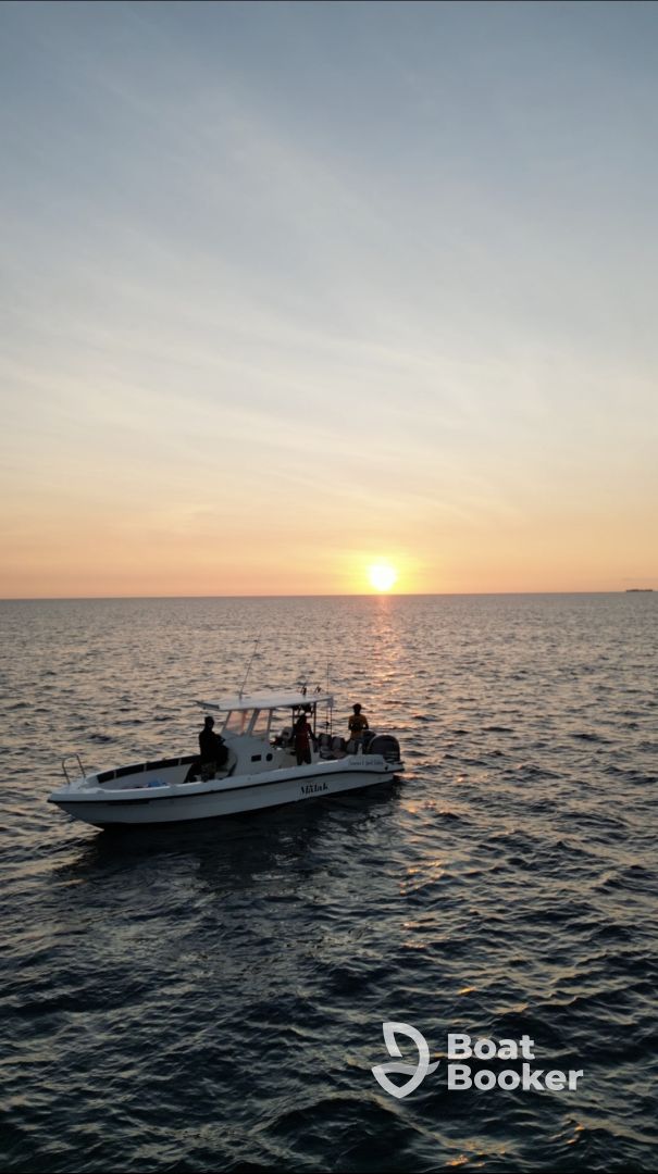 Charter Image