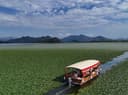 Skadar Lake 2h Boat Tour from Virpazar