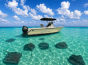 Ocean Blue Charters