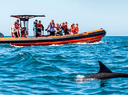 Four Adventures Boat Tours