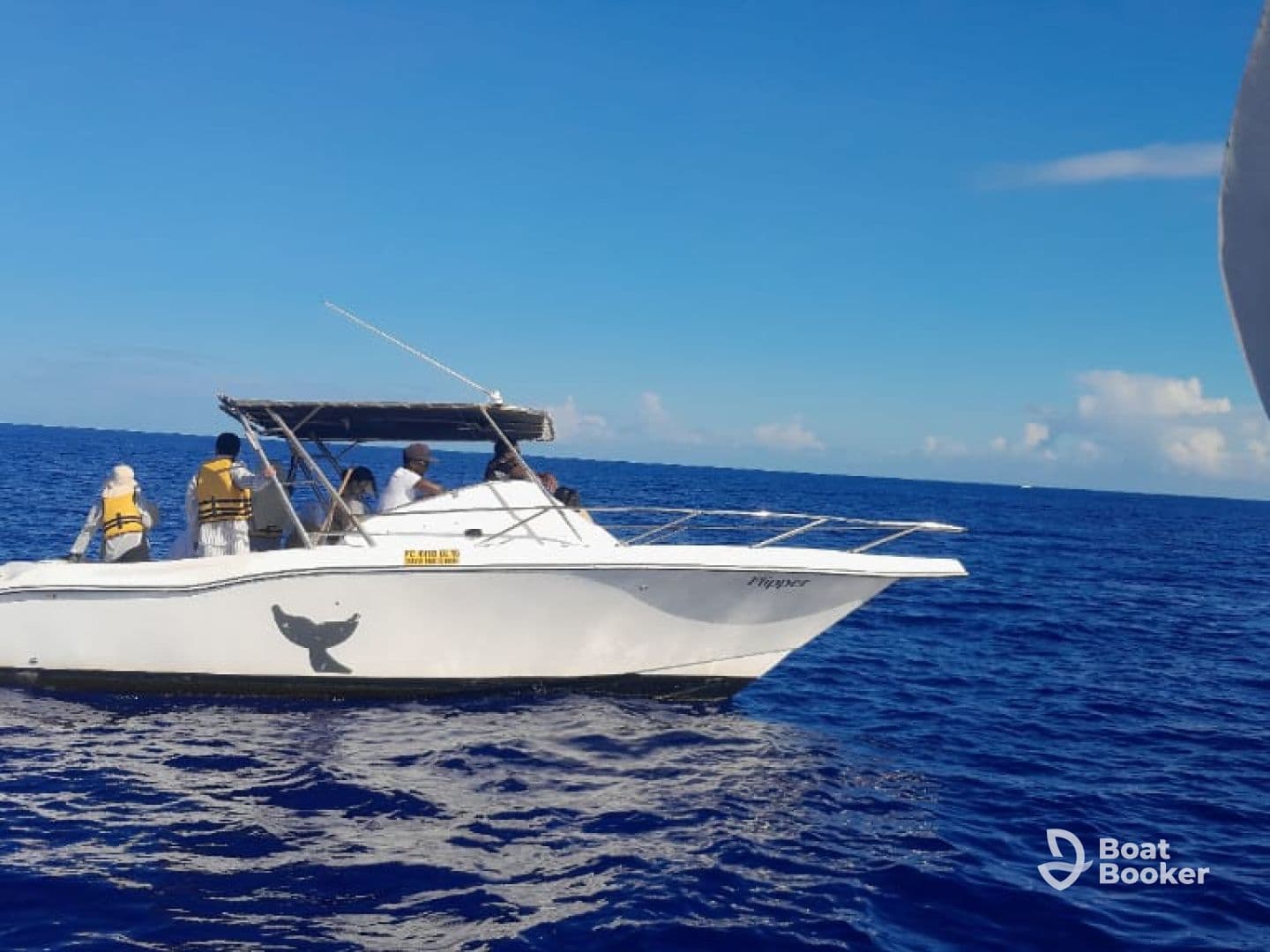 Charter Image