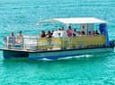 Destin Expeditions: Dolphin/Crab Island Trips