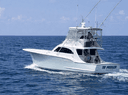 18 Reeler Sportfishing