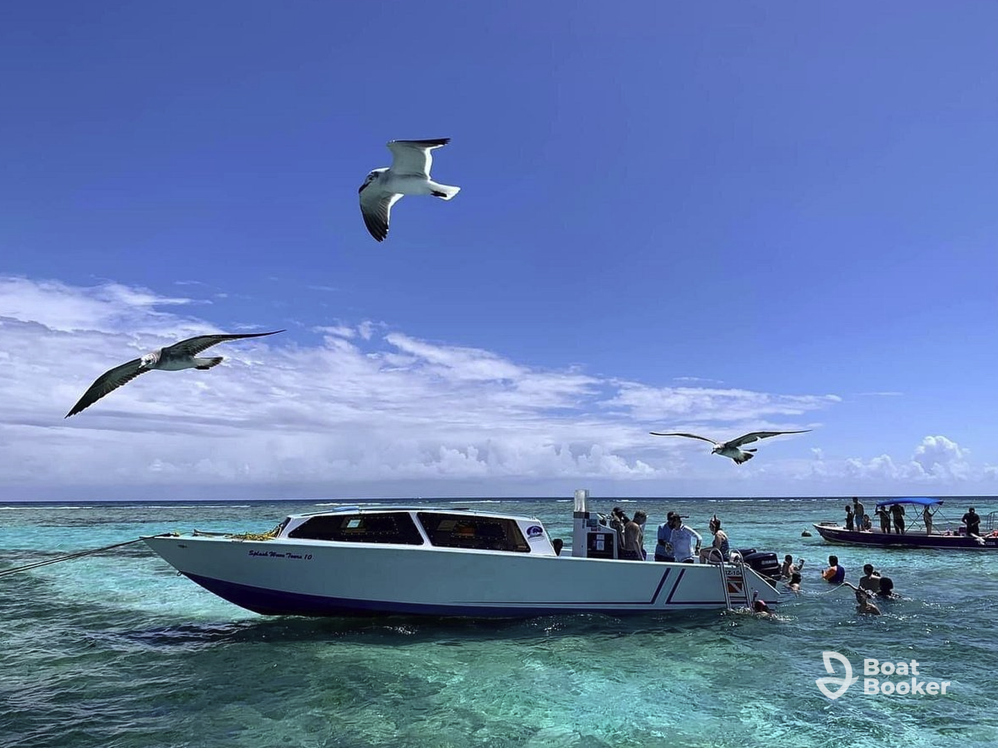 Charter Image