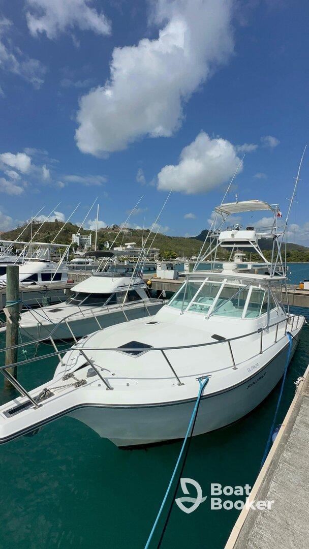 Charter Image