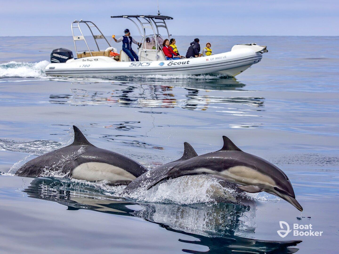 Charter Image