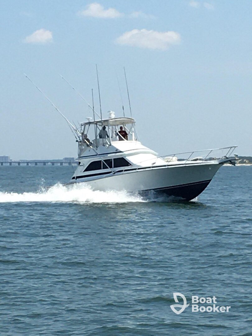 Charter Image