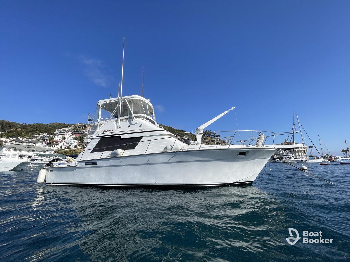 Charter Image