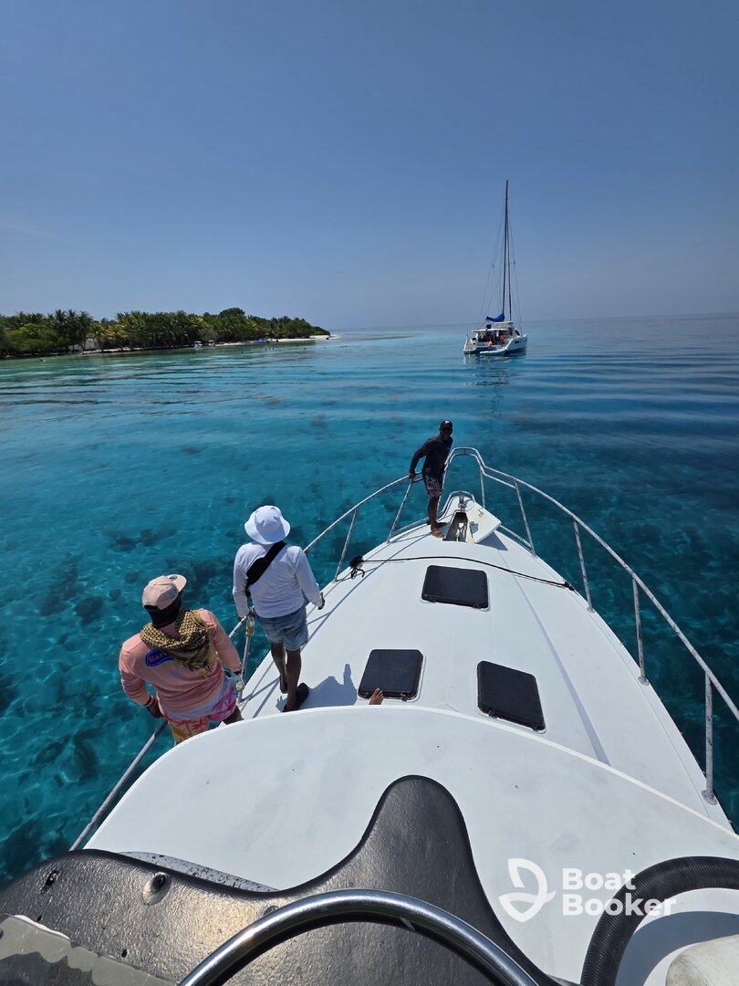 Charter Image