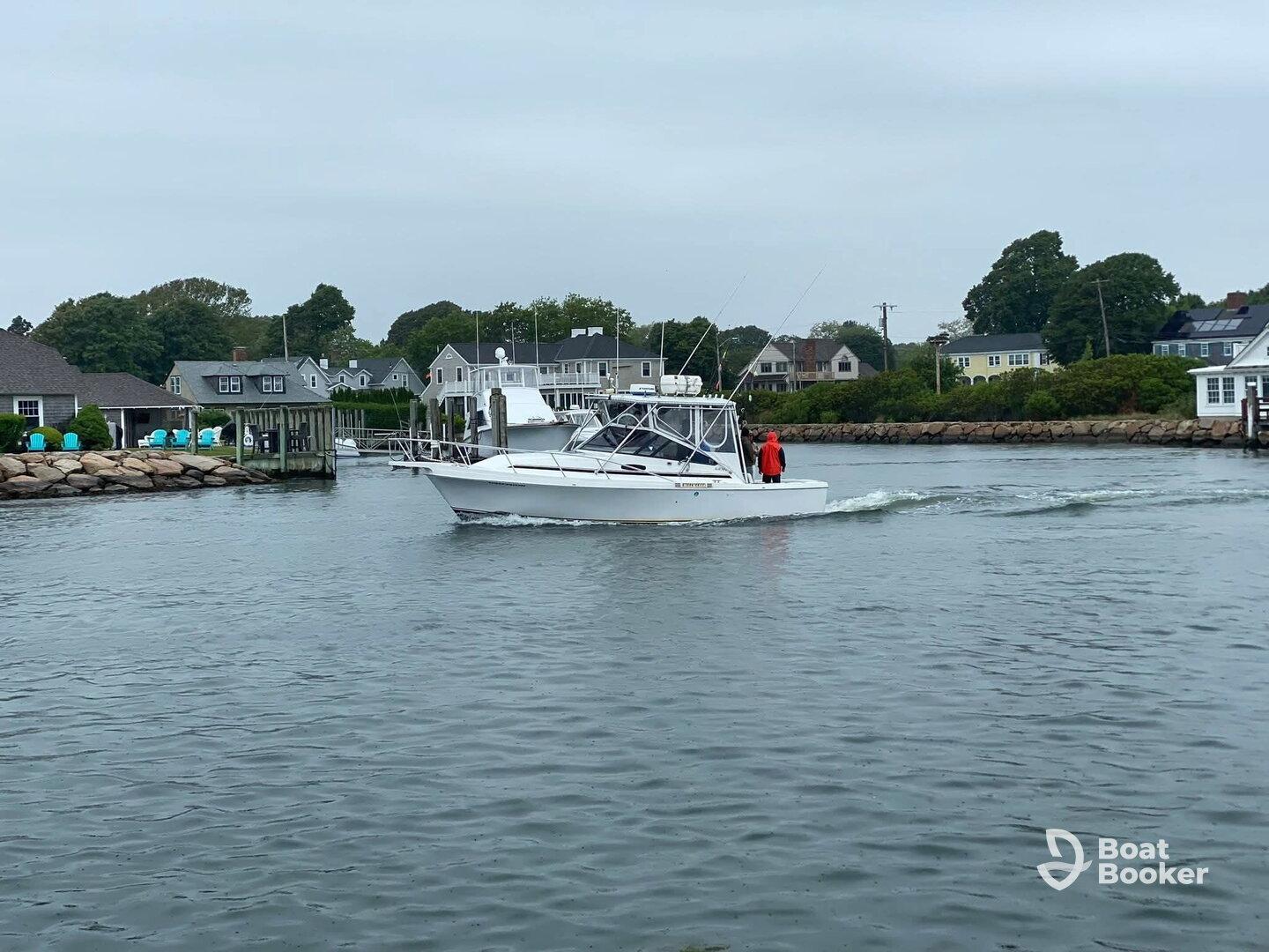 Charter Image