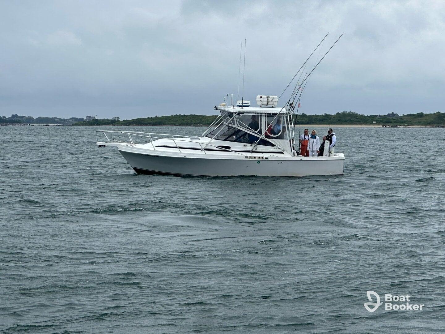 Charter Image