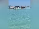 Navarre Beach Charters