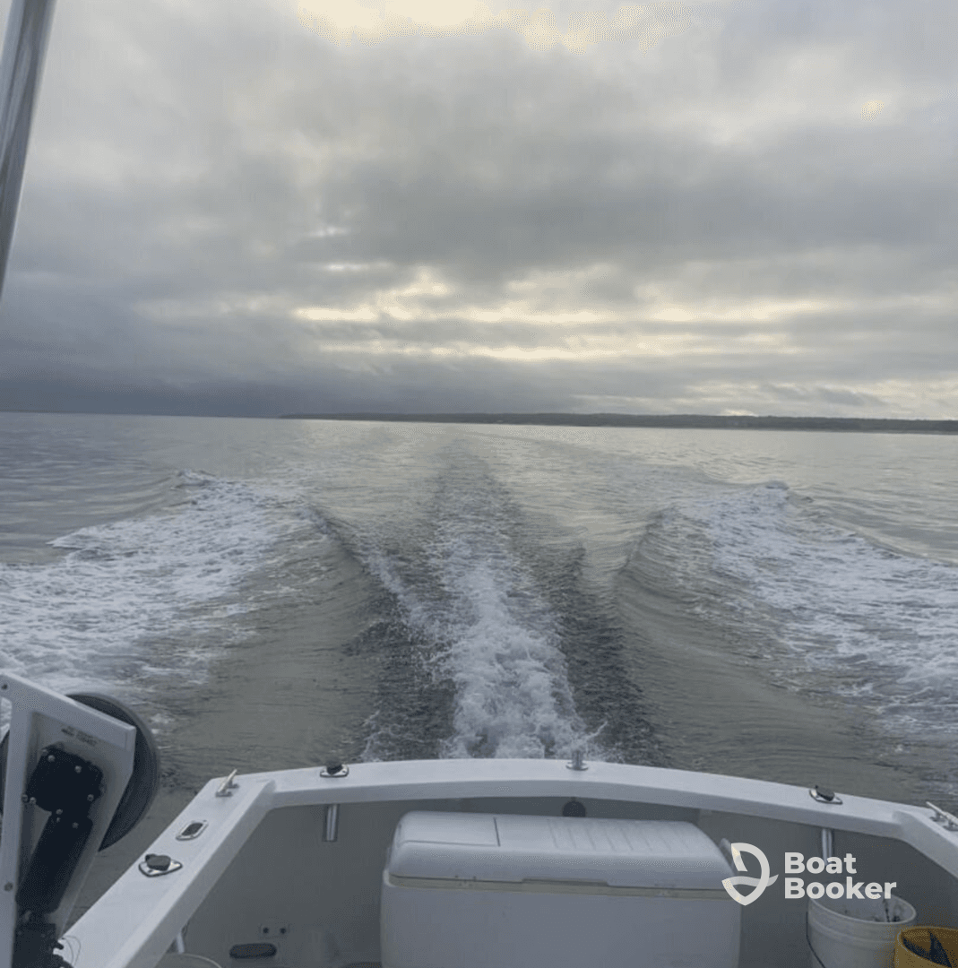 Charter Image