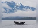 Adventure Charters Sitka