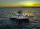 Sea Queen VII
