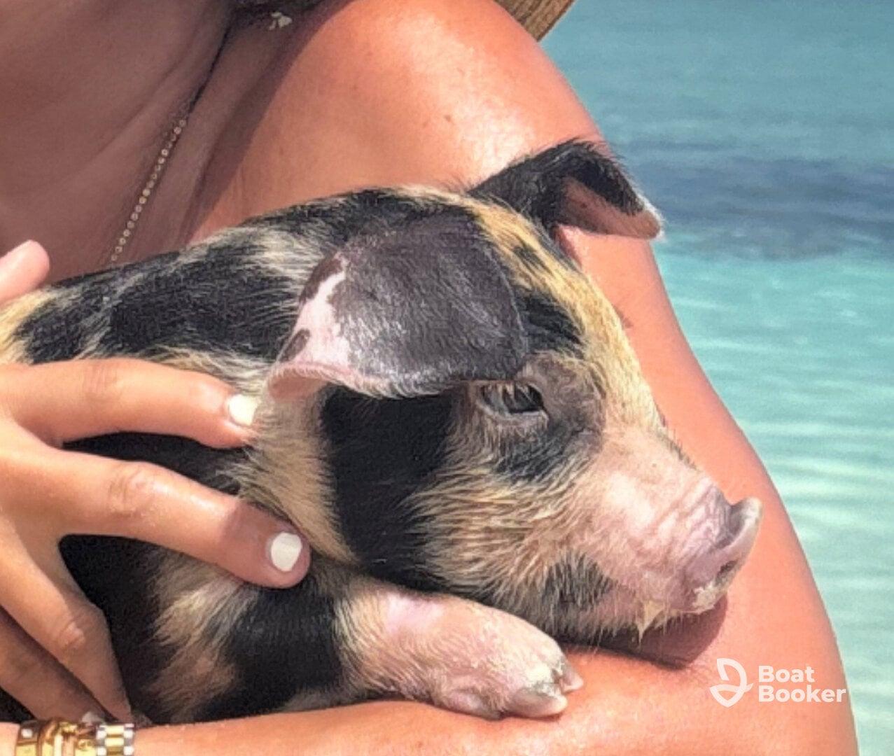 Charter Image