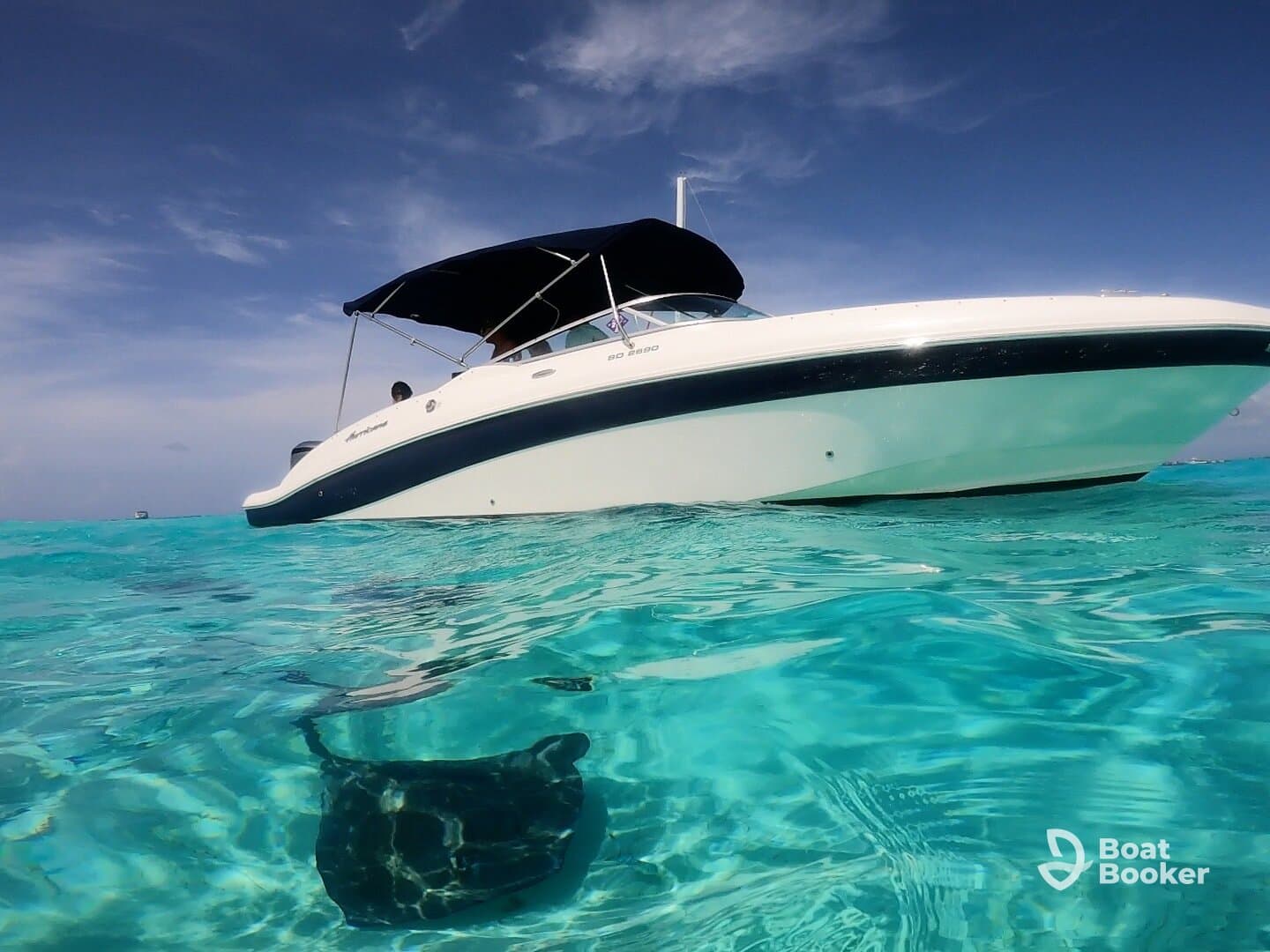Charter Image