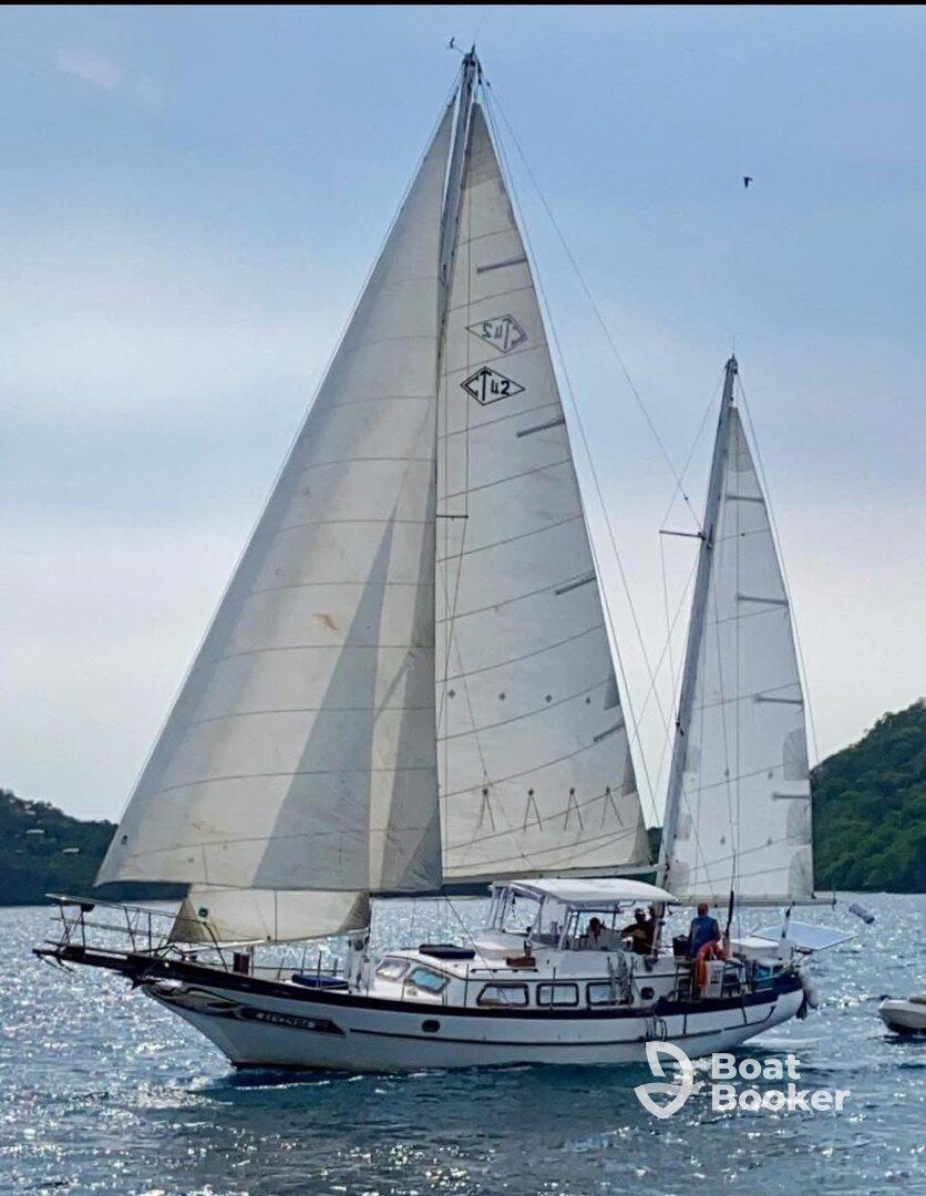 Charter Image