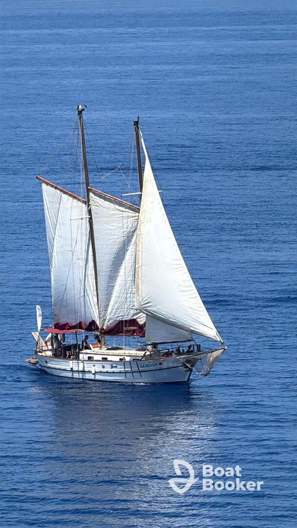 Charter Image