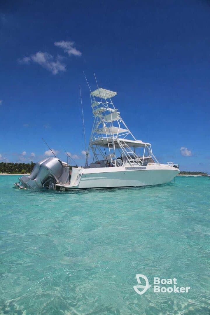 Charter Image