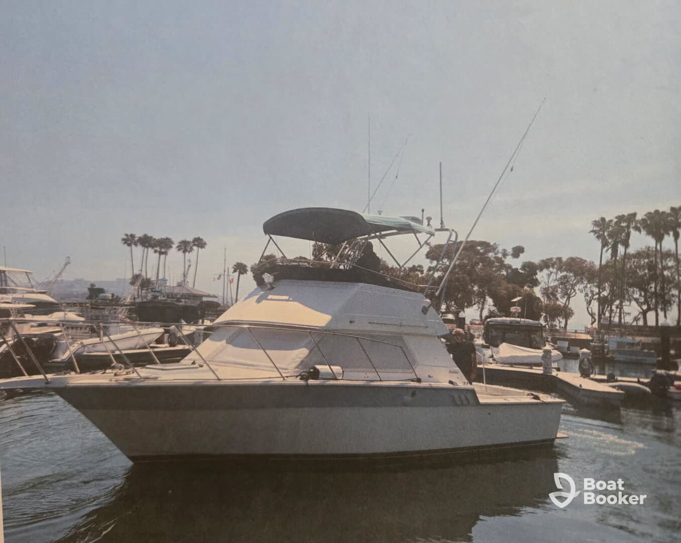 Charter Image
