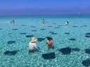 Starfish & Smiles – Private Family Charters