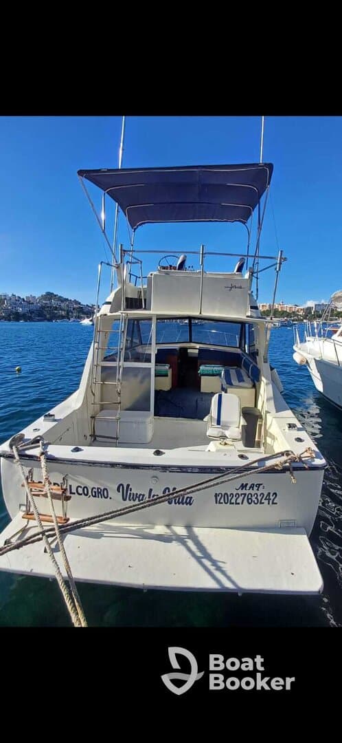 Charter Image