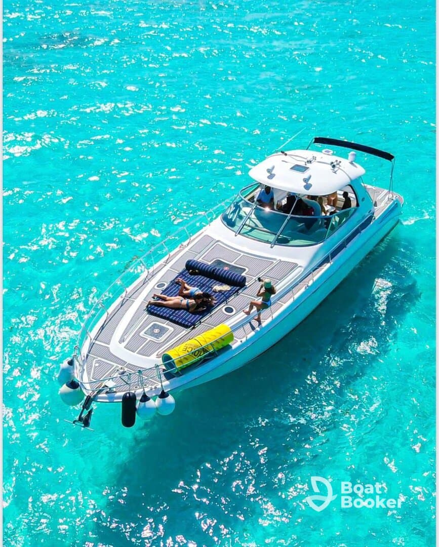 Charter Image