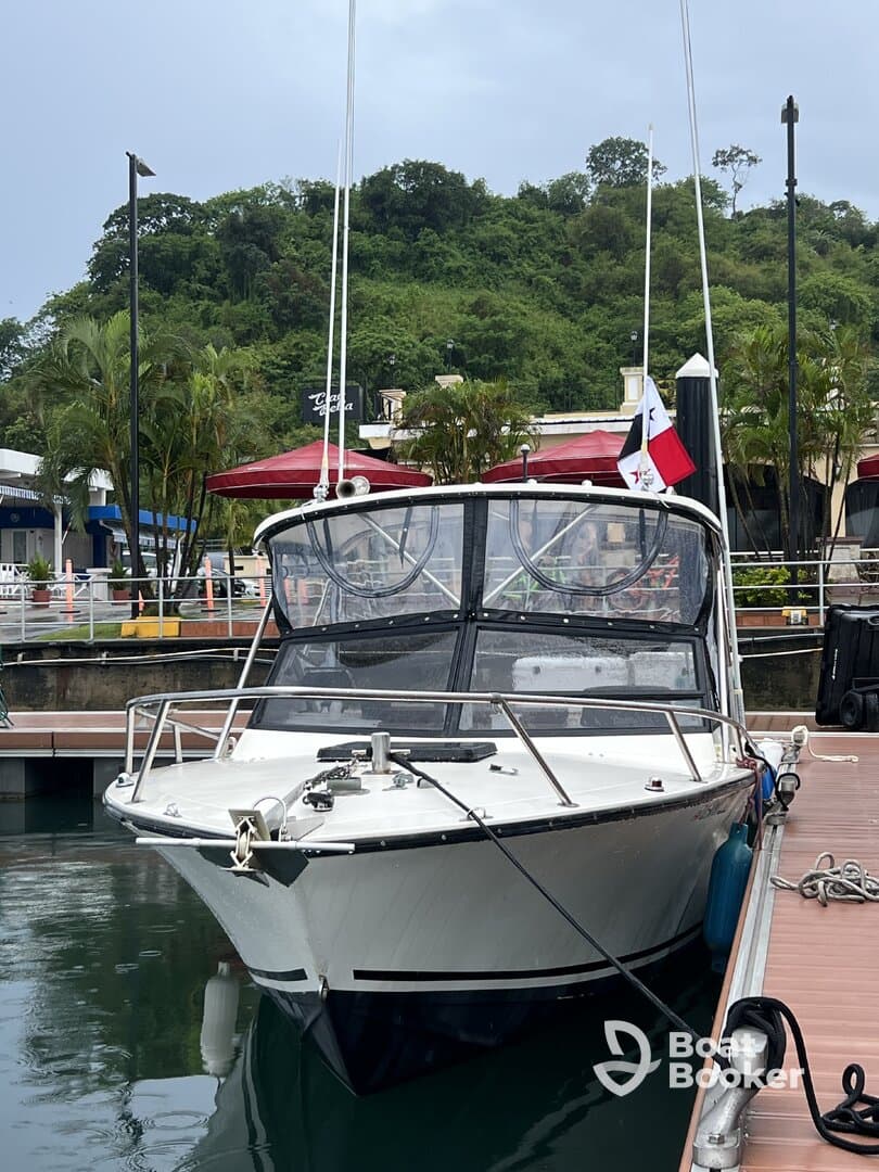 Charter Image