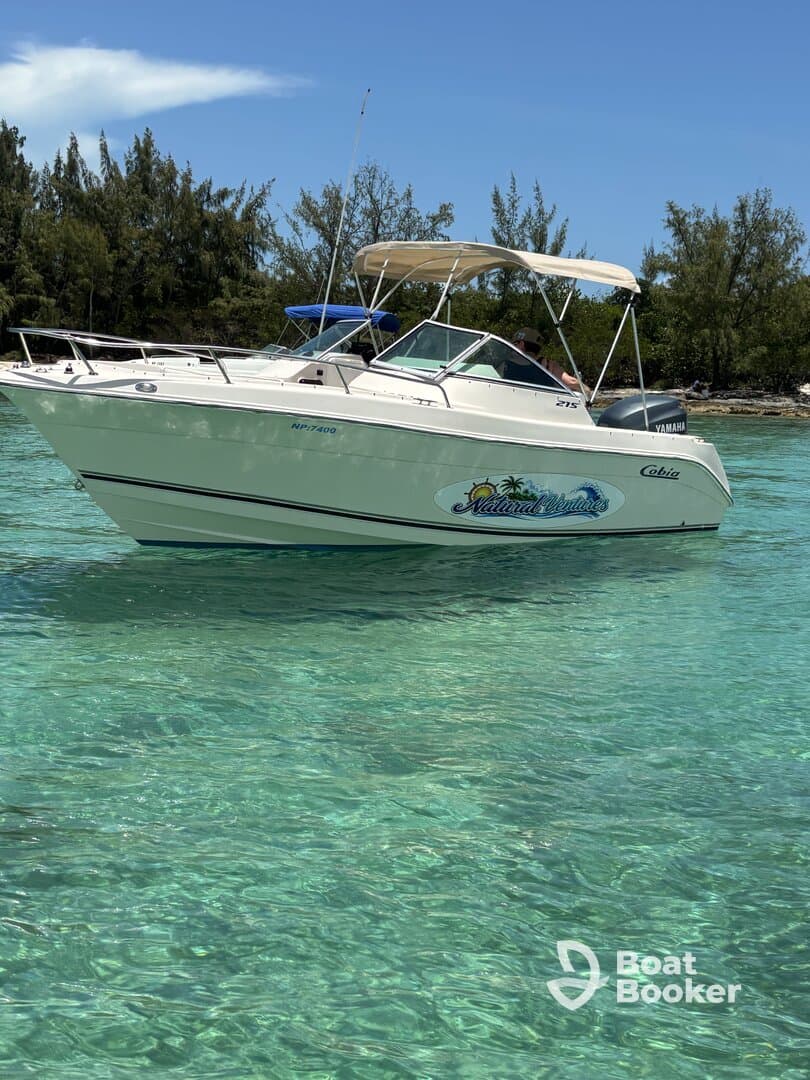 Charter Image