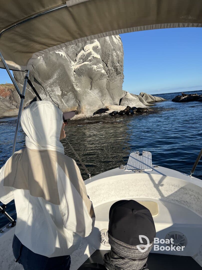 Charter Image