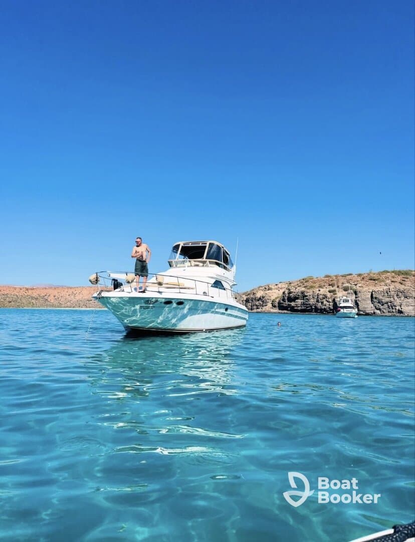 Charter Image