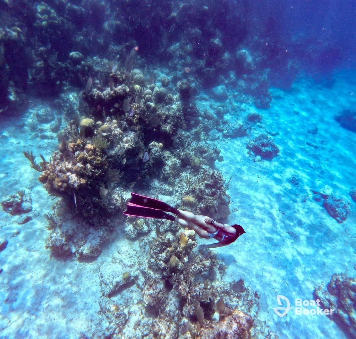 Charter Image