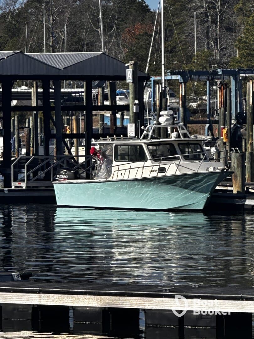 Charter Image