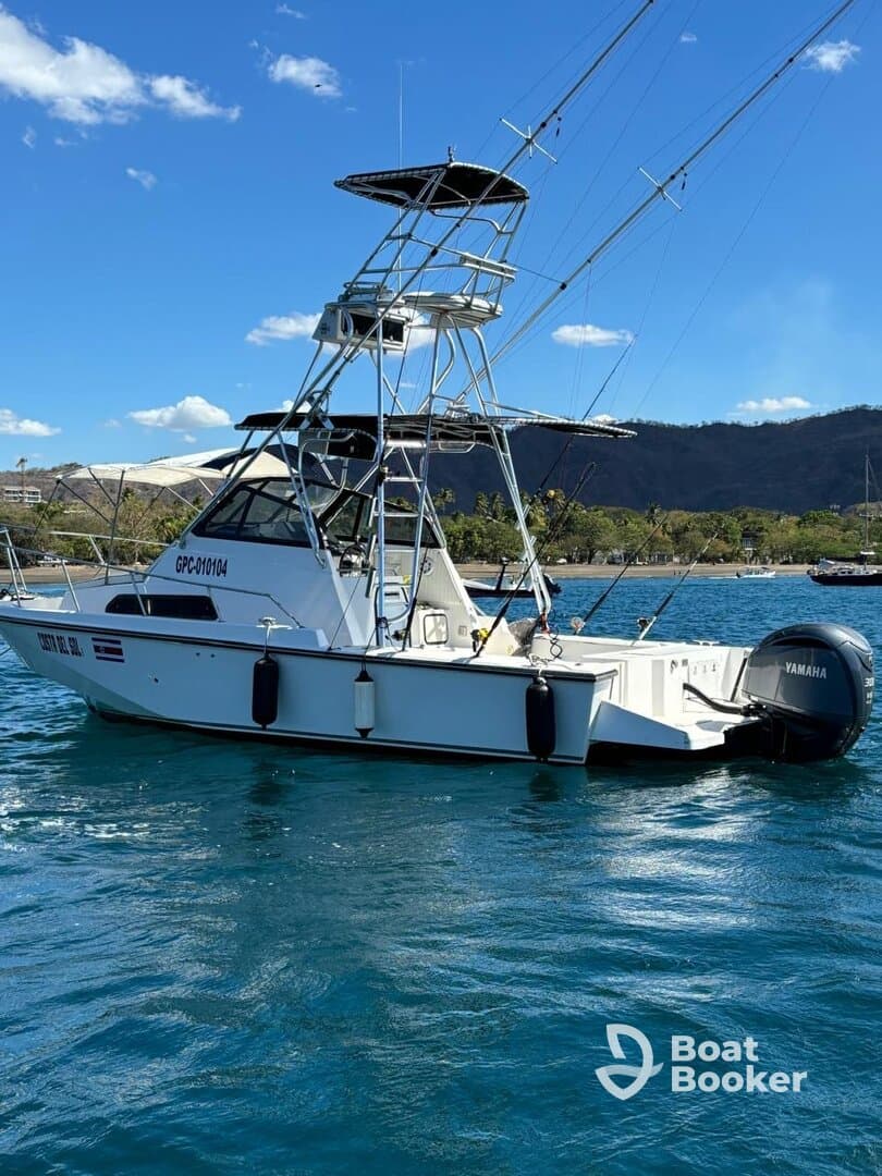 Charter Image