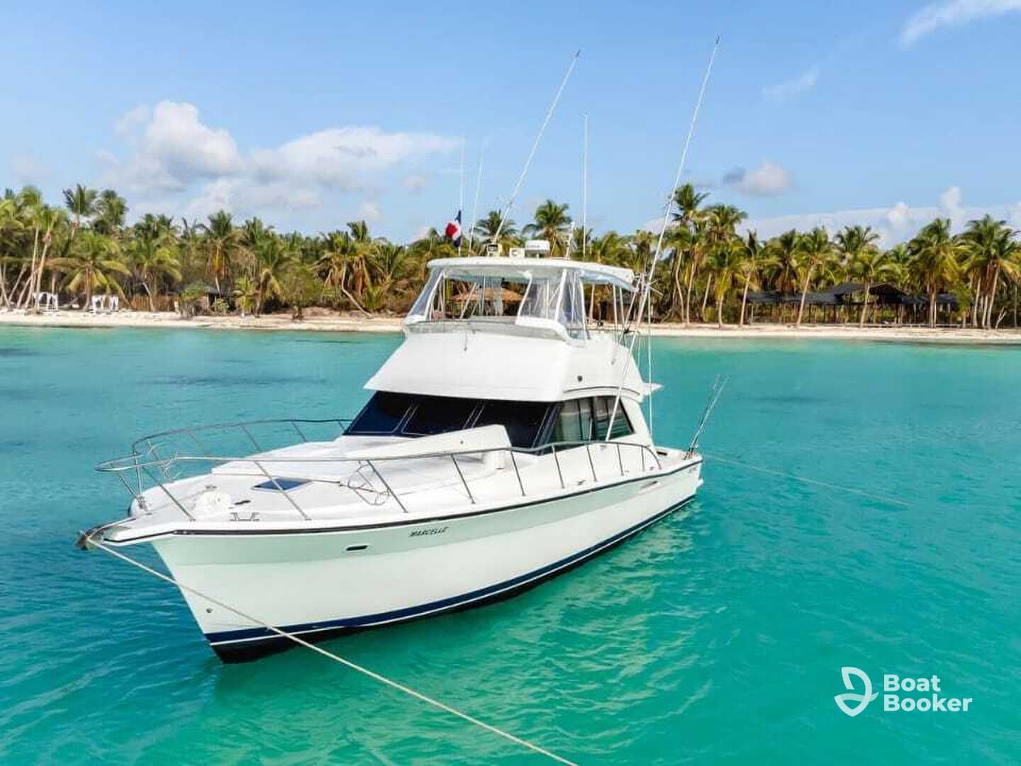 Charter Image