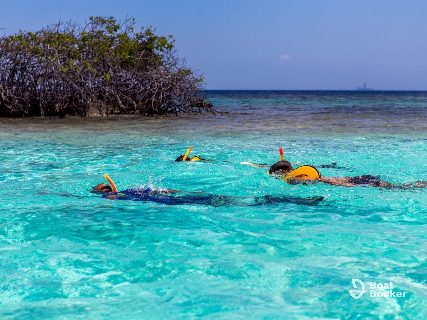 A group of snorkelers explores the vibrant underwater world in crystal-clear waters, perfect for marine adventures and family fun.