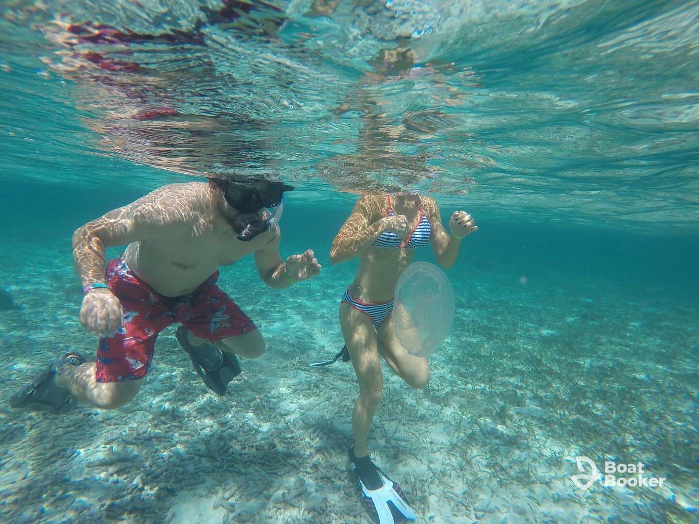 A couple enjoys snorkeling in crystal-clear waters, showcasing the vibrant underwater world — a perfect adventure for marine enthusiasts.